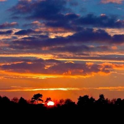 快三买大小的正规平台截图