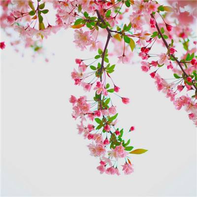 云开全站登录app