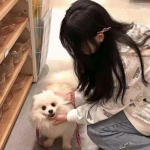 欧意交易所下载